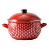 Obrázek pro Smaltovaný hrnec 24cm 6 l