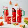 Obrázek pro Termo láhev 500 ml MELON